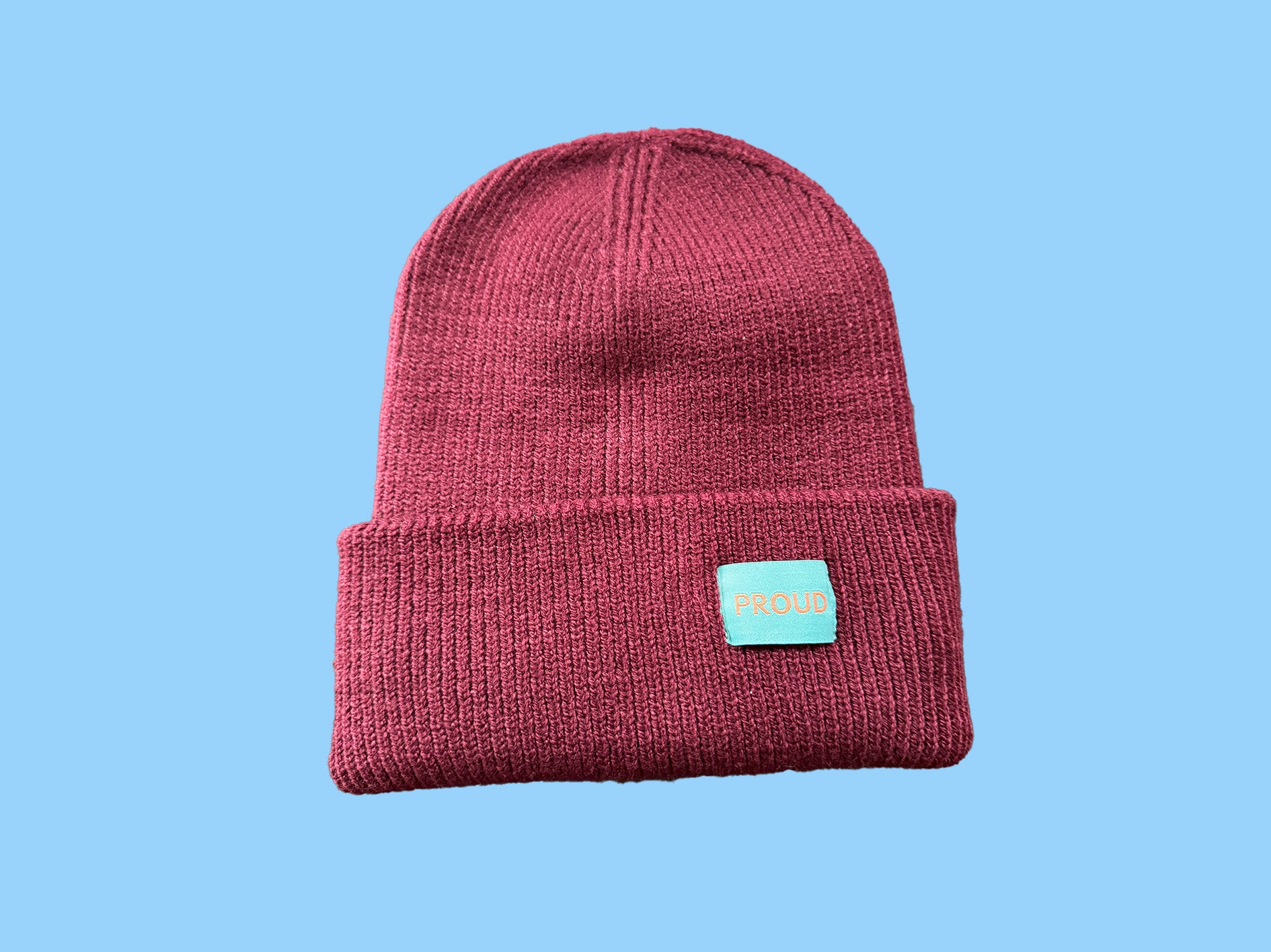 The 'Plush' Silky Beanie