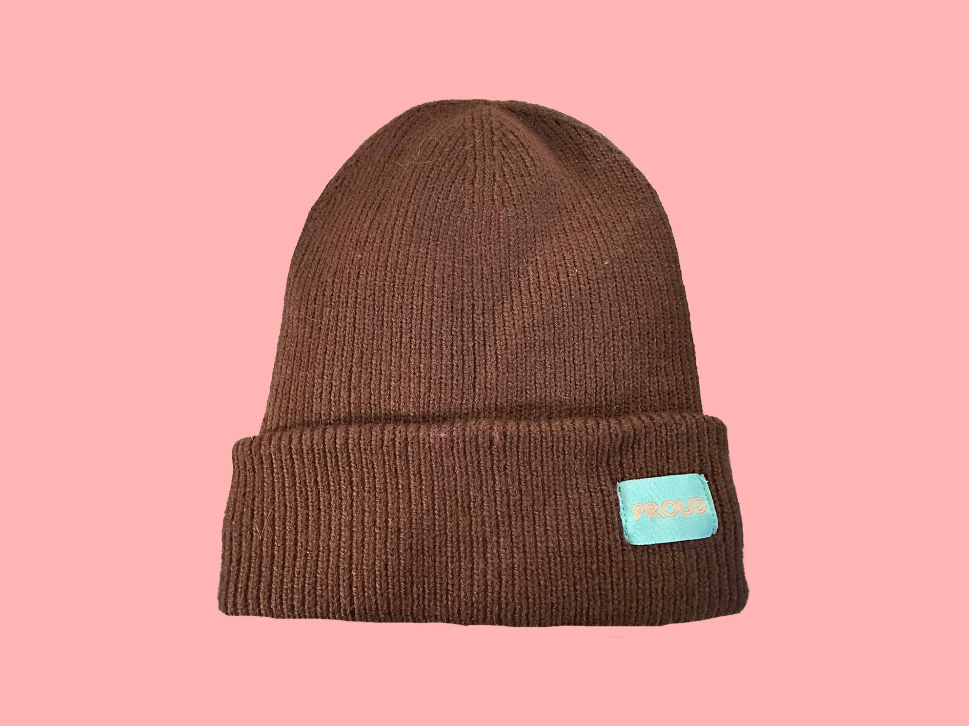 The 'Plush' Silky Beanie