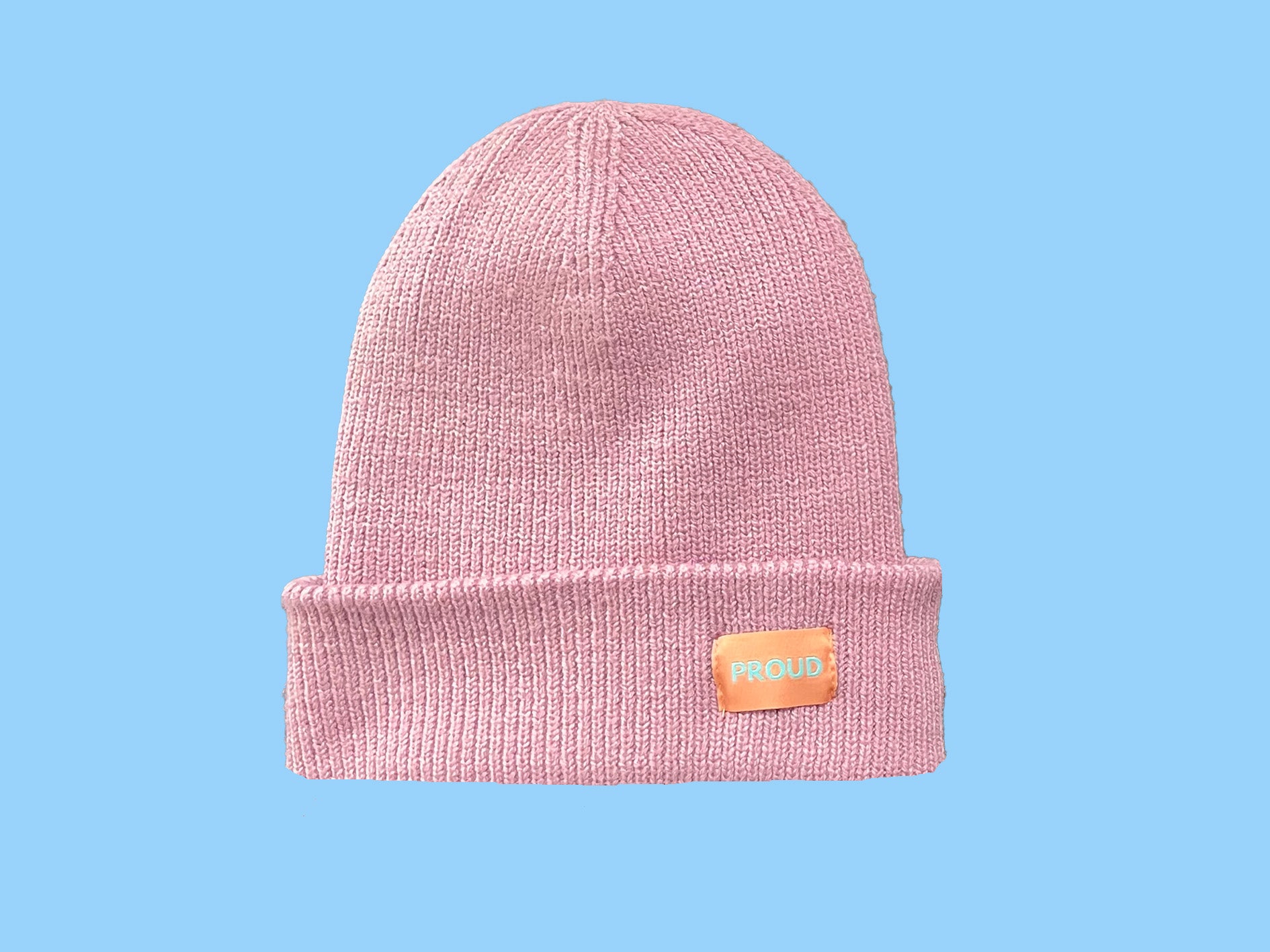 The 'Plush' Silky Beanie