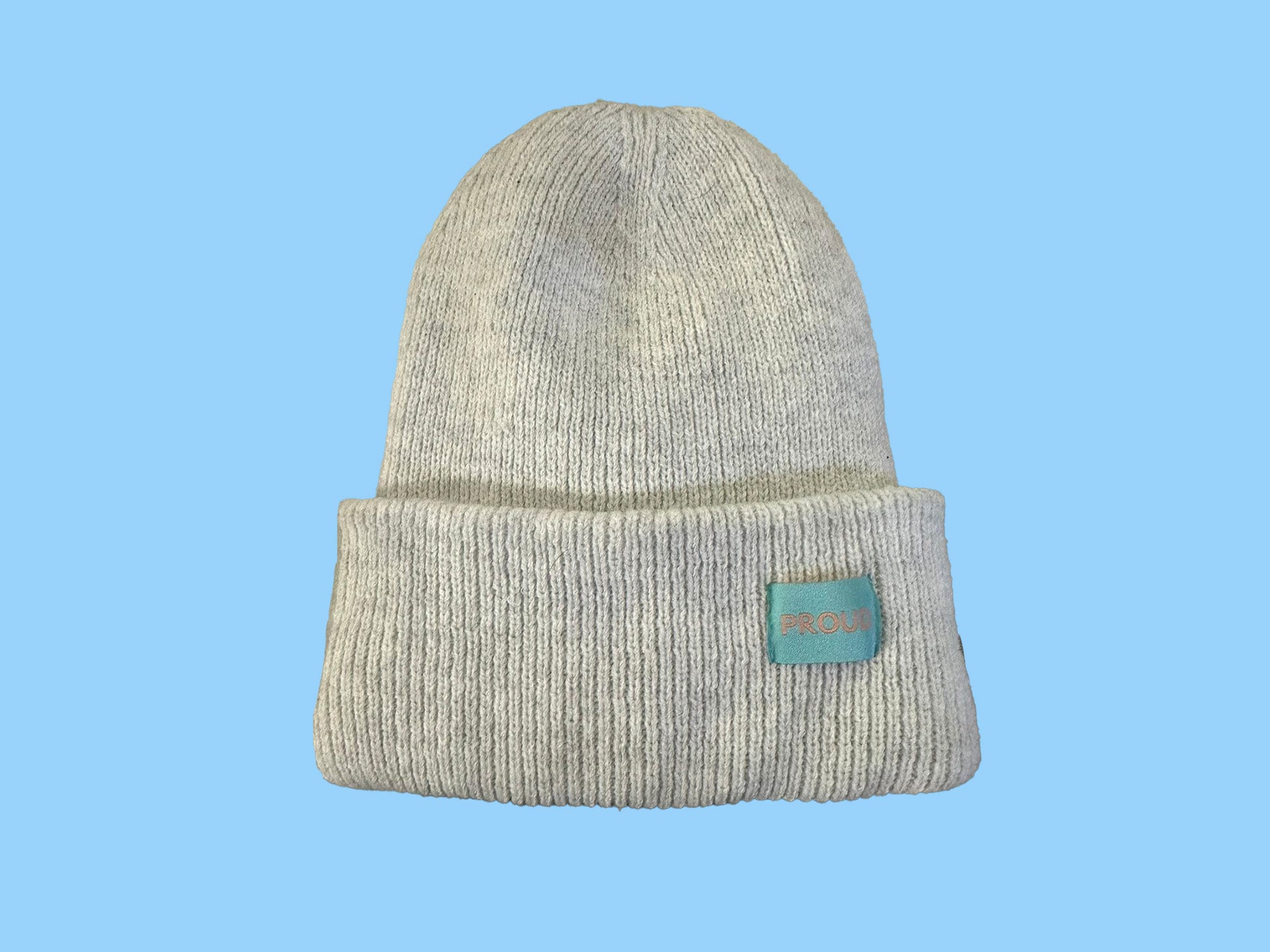 The 'Plush' Silky Beanie