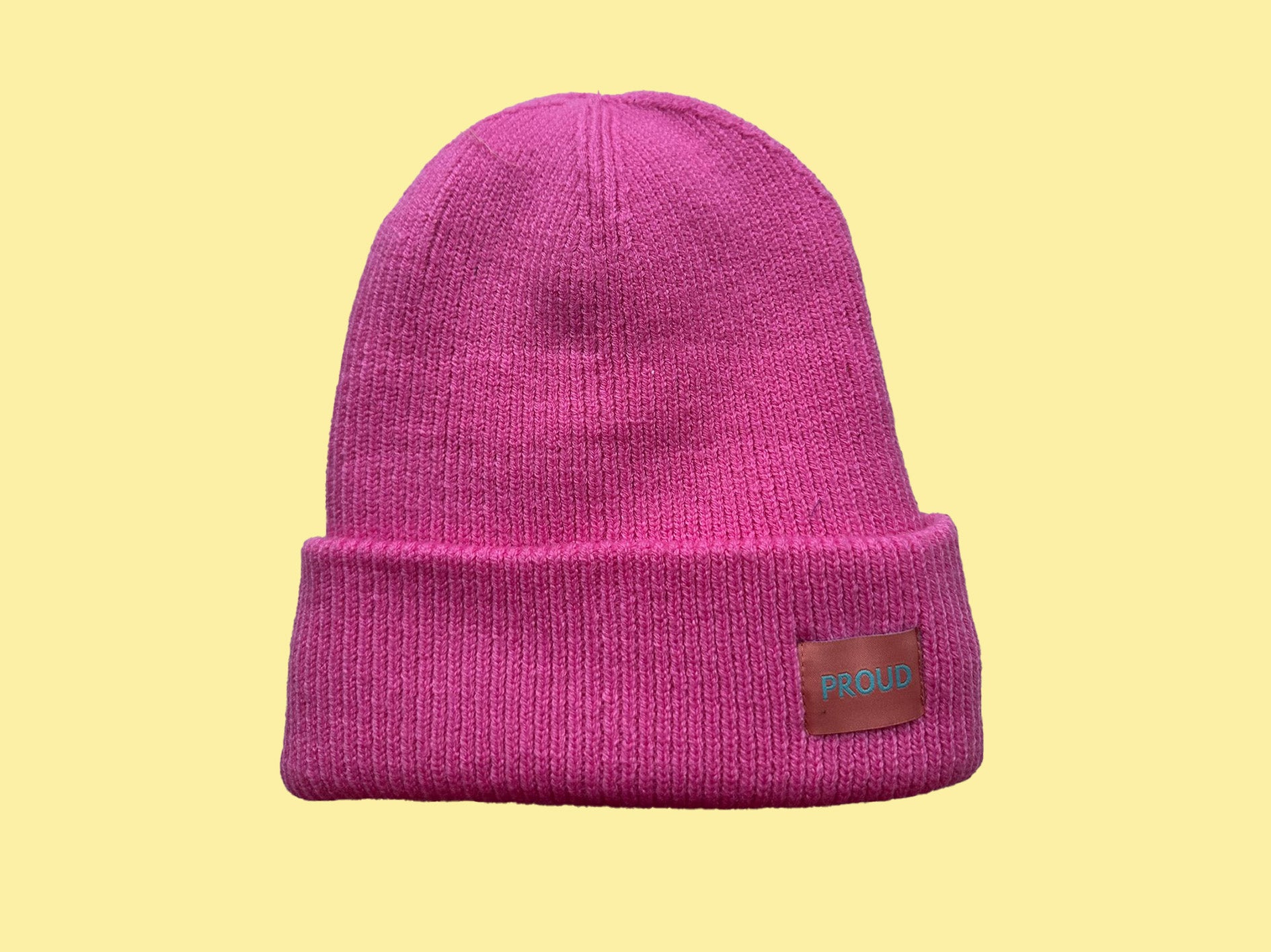 The 'Plush' Silky Beanie