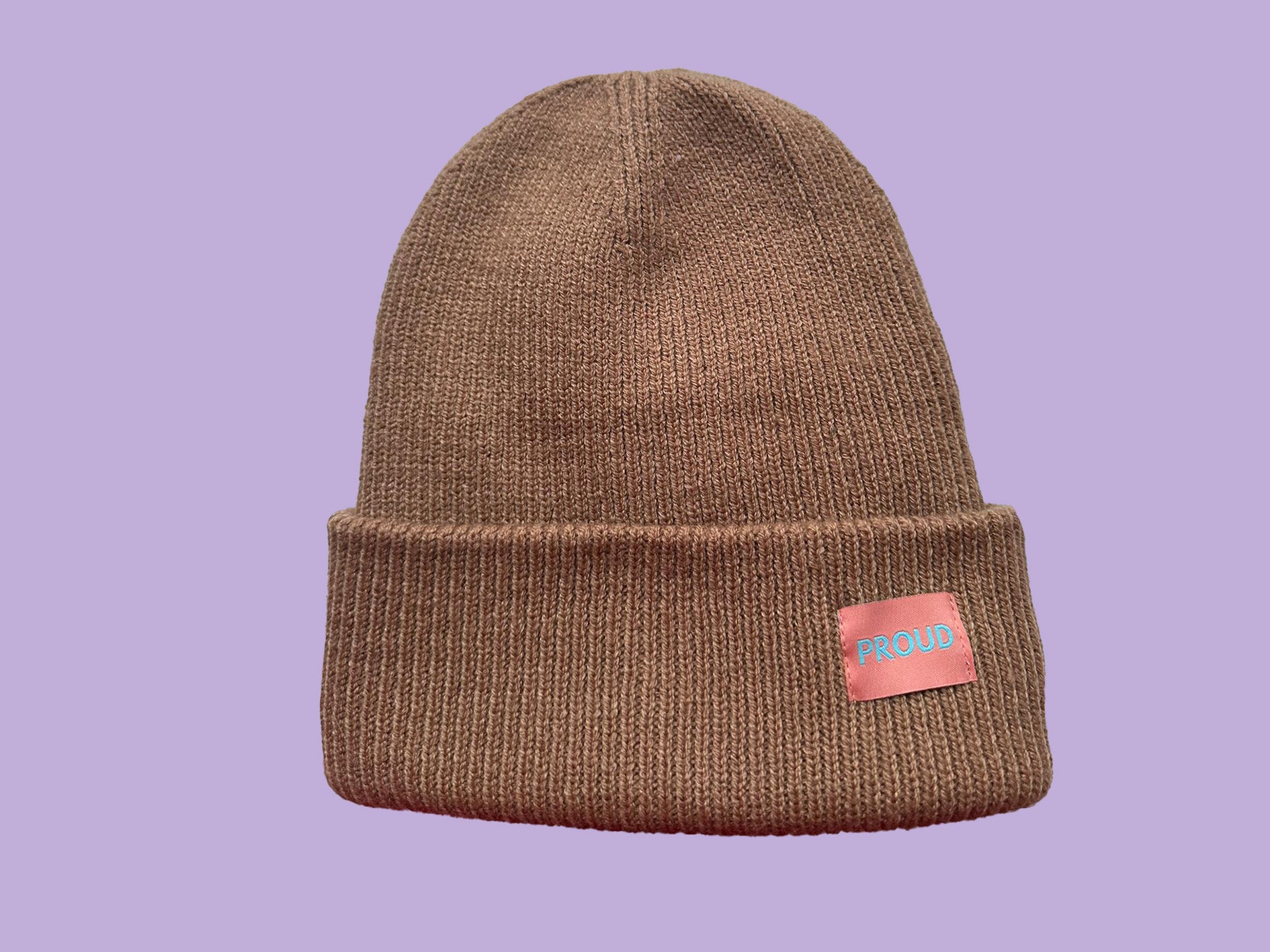 The 'Plush' Silky Beanie