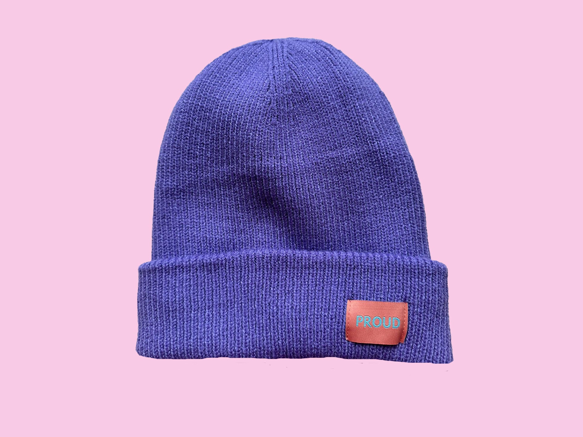 The 'Plush' Silky Beanie