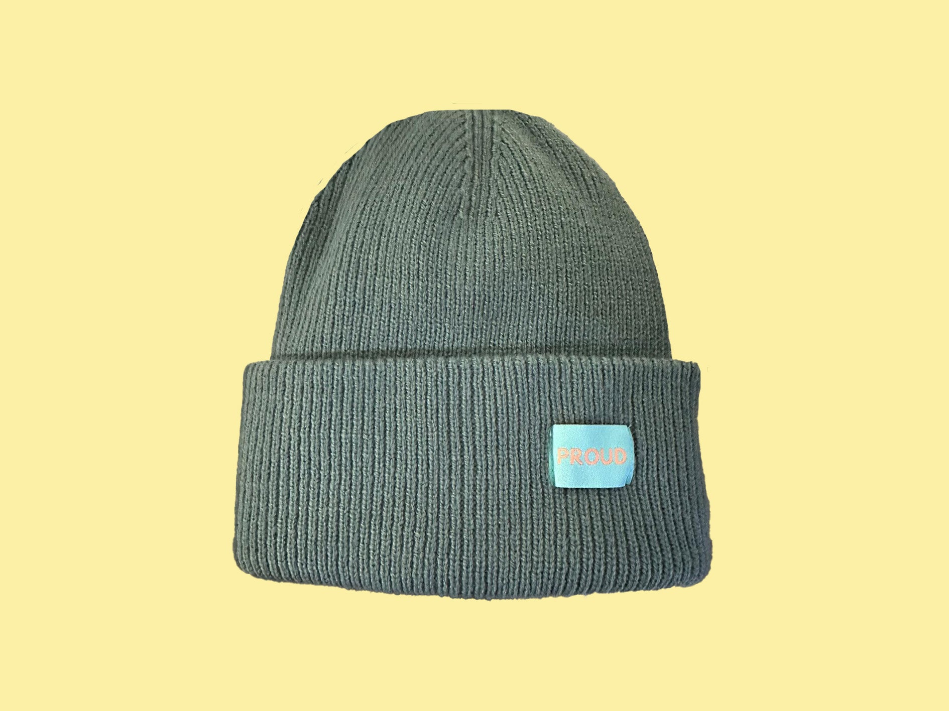 The 'Plush' Silky Beanie