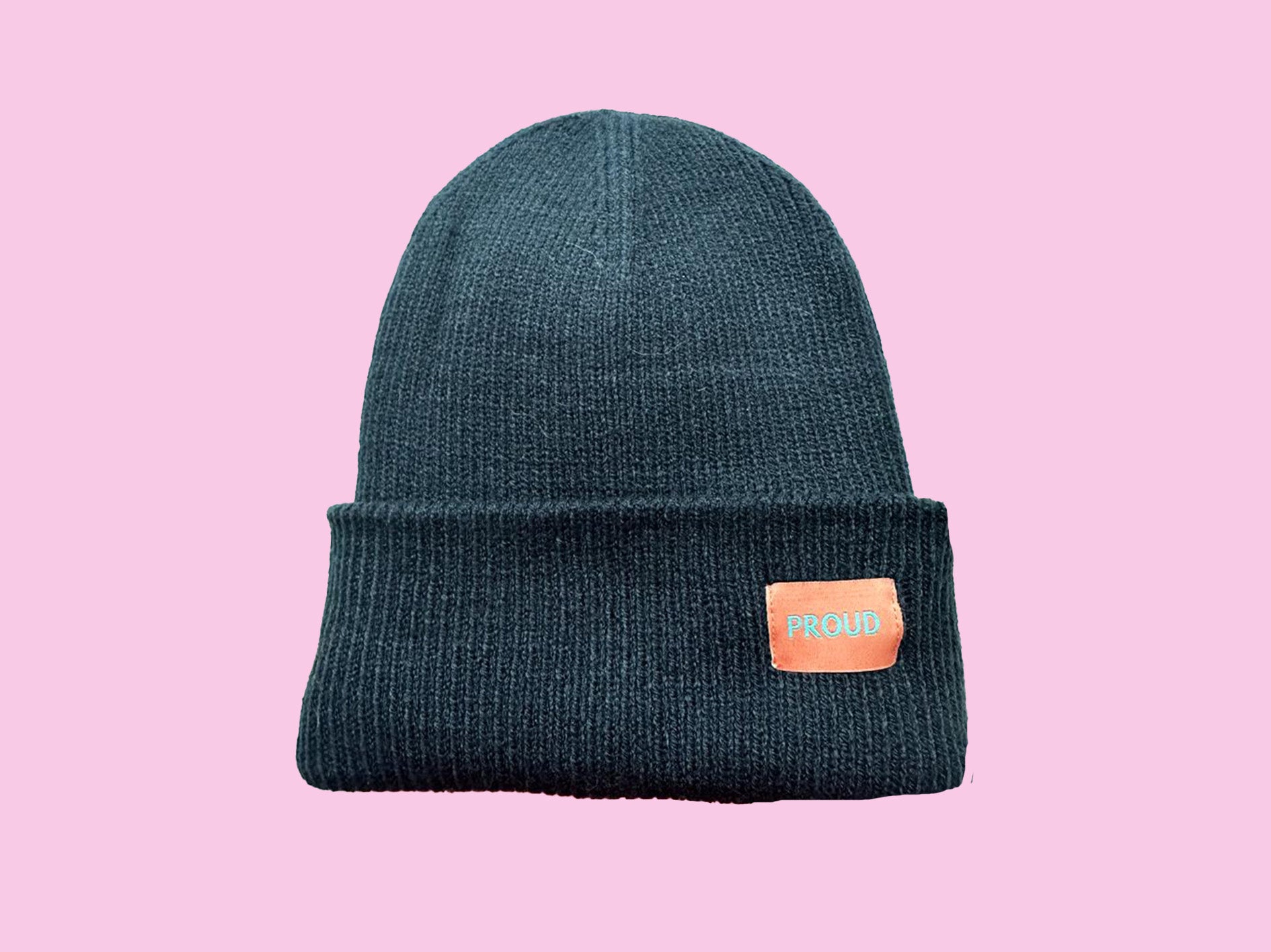 The 'Plush' Silky Beanie