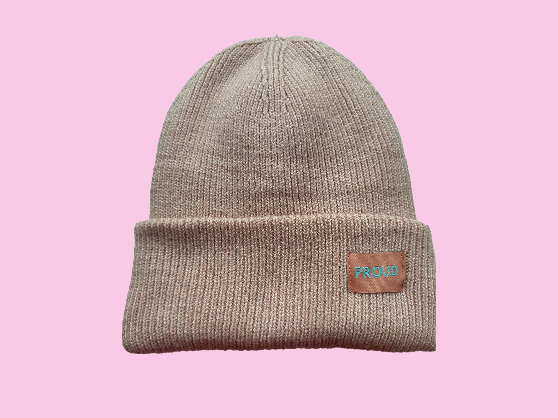 The 'Plush' Silky Beanie