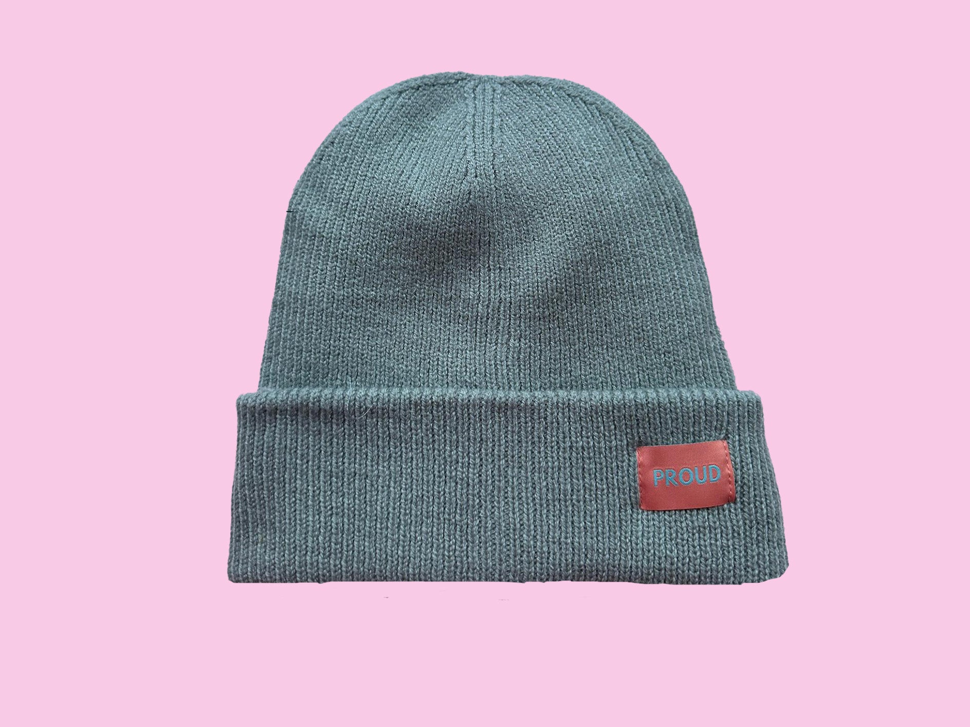 The 'Plush' Silky Beanie