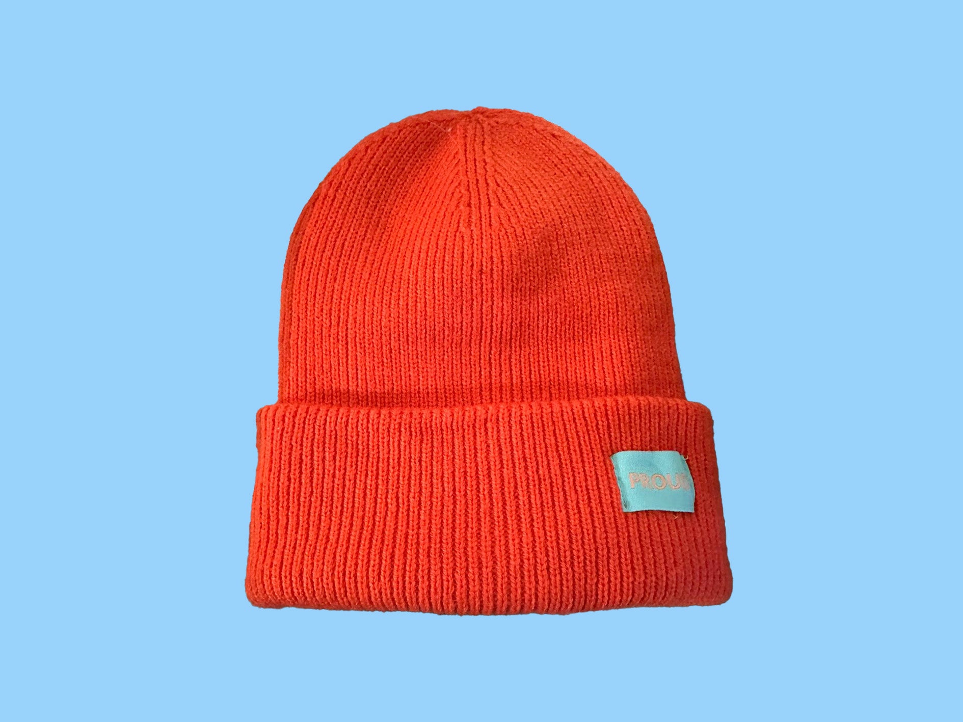 The 'Plush' Silky Beanie