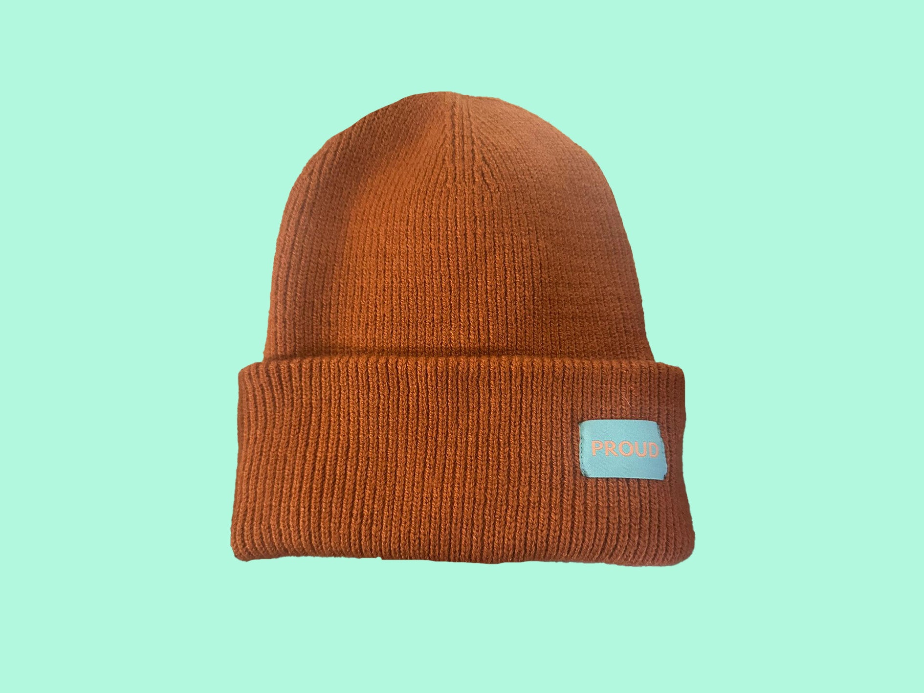 The 'Plush' Silky Beanie
