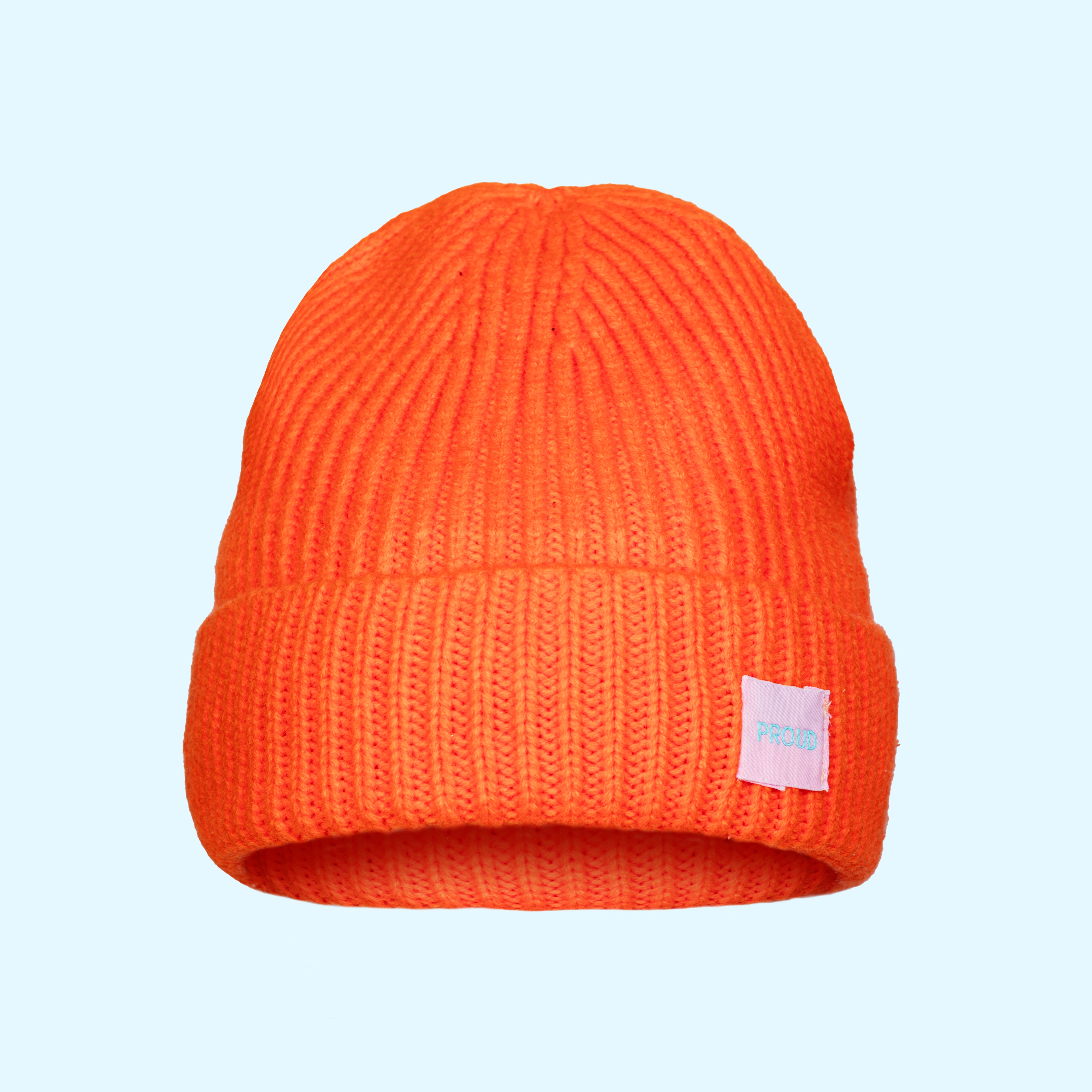'The Juicy Ribbed' Silky Beanie